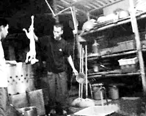 水煮活猫过程曝光