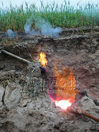 河南三门峡出现无名地火 疑为所埋锯末自燃(图)