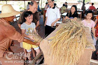 广东佛山农家乐旅游引入知青文化(图)