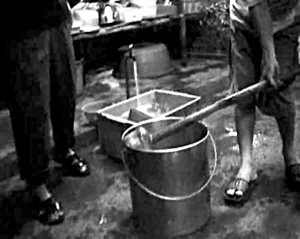 水煮活猫过程曝光