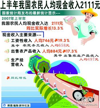 收入证明_我国农民收入现状(3)