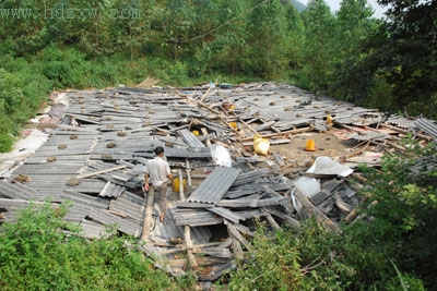 南安大风雨袭鸡棚五千鸡苗遭殃
