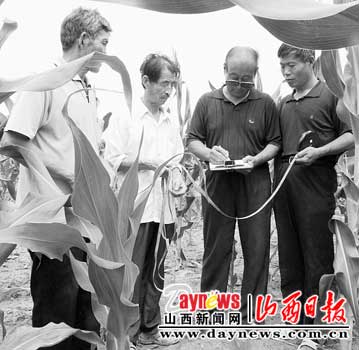 王显乡人口_王显诏(2)