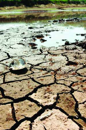 ���Ϻ�������10��δ����17.6������ˮ����