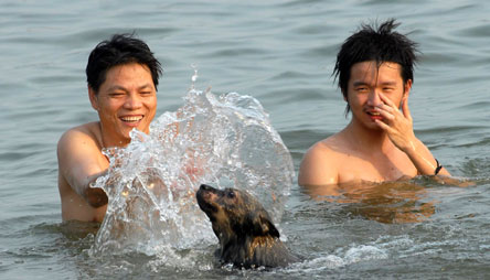 ����������������������ȫʡ�ֲ����ֺ���