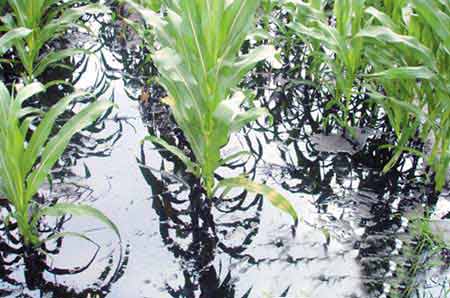 ɽ���������͹�����Խ�30��ԭ��й©(ͼ)