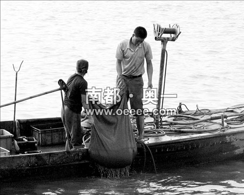 将红虫卖往花鸟鱼市场