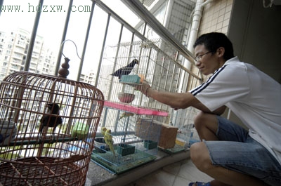 ———我家里人都很喜欢养鸟,一定不会亏待它们的,我会给他们买最