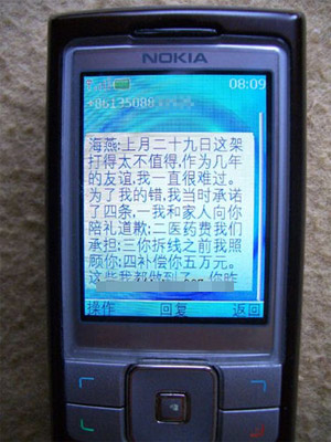 云南个旧副市长殴打情妇被罢免职务