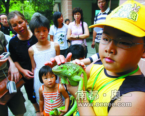 广州动物园来新客 市民得以零距离接触