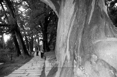 剑门蜀道遗址勘界开始