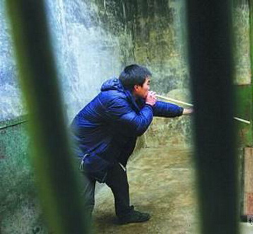20余名工作人员密林救幼熊(组图)