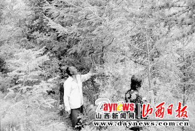 娄烦县米峪镇村有多少人口_娄烦县庙湾乡走马湾村(3)