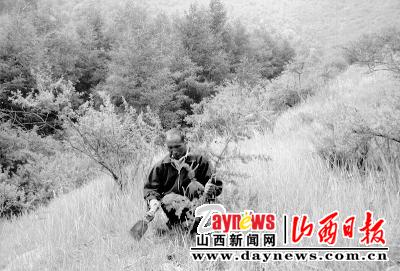 娄烦县米峪镇村有多少人口_娄烦县庙湾乡走马湾村(3)