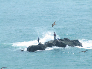 舟山当地的天气预报说