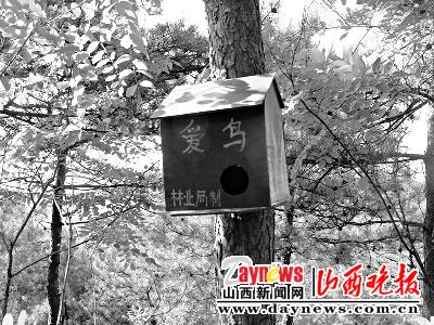 安泽面积人口_安泽豪