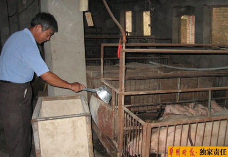 河南开封杞县签下能繁育母猪保险第一单