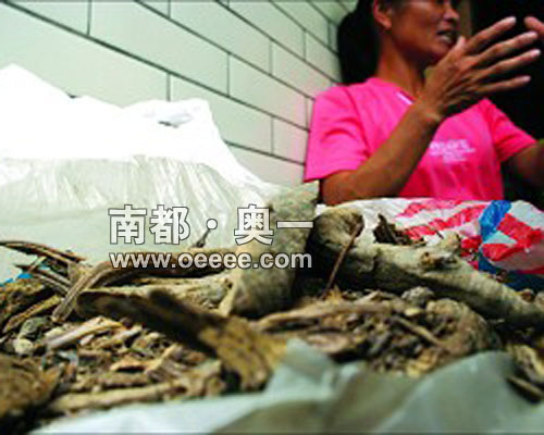 猪吃了治病人吃了致命