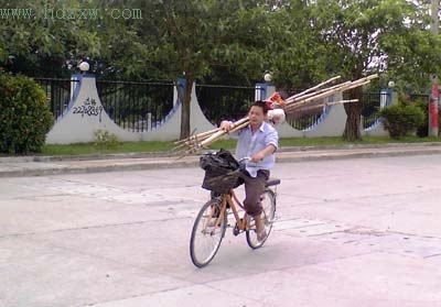 粮库边上张网捕鸟