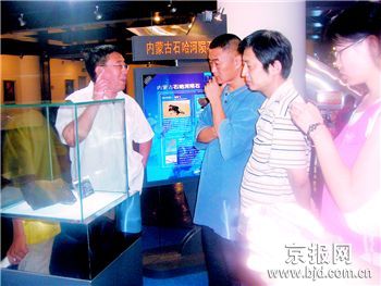 珍贵陨石来自火星