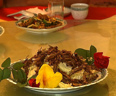 ȫ�Ҷ�Աȥ����