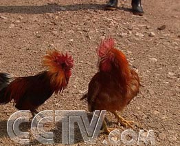 ������ֻ�������صļ�