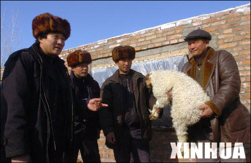 加强党的先进性建设成功实践 先进性教育成果