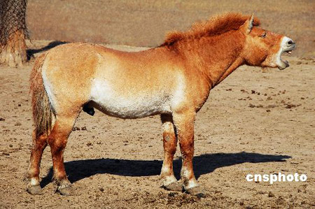 �½������������ƥ����Ұ�����ڳ���