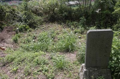 ��β��ż���̡�������