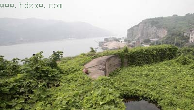 ��β��ż���̡�������