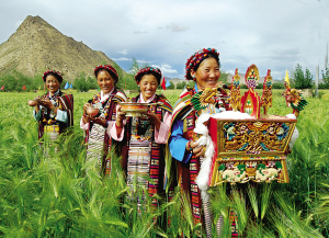 党的十六大以来西藏立足实际科学发展