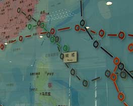 2019年台风经济损失_2019为 厄尔尼诺年 台风暴雨频繁 养殖户要及时做好准备工作