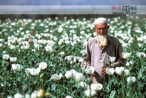 影像2007--美丽的罪恶