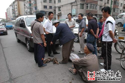 轧死鸭子 得赔 拿走鸭子 不成(图文)