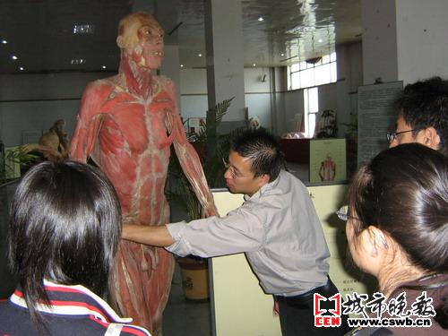 今天去吉林市博物馆 看人体标本展览