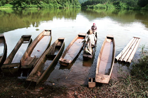 曼旦,躲进雨林的美丽