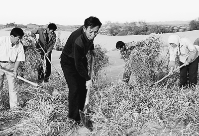 去年日照市城市、农村低保月人均标准同比双增长