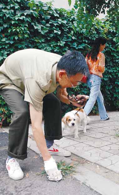 沈一老汉捡狗粪一捡十年 不顾别人议论纷纷