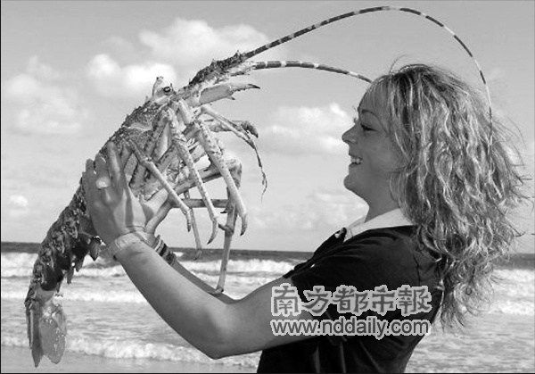 超大龙虾