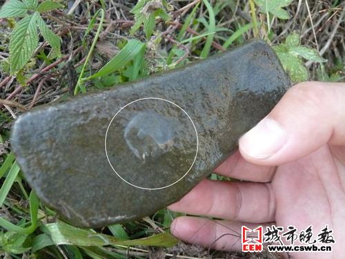 其他海产品时,无意将水母