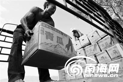 85%依赖外地货车 车荒 压低海南农产品价格
