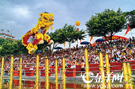 中外狮王争霸西樵 十万游客前来观战