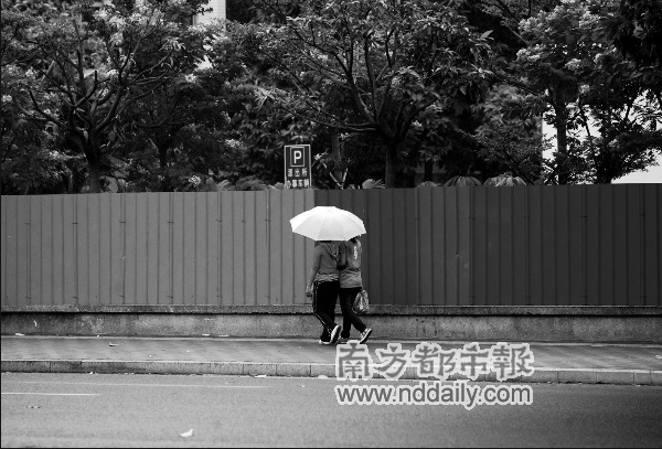 雨姓人口数量_限行提示/丰南第七次全国人口普查公报/丰南还有雷雨!惠丰生态