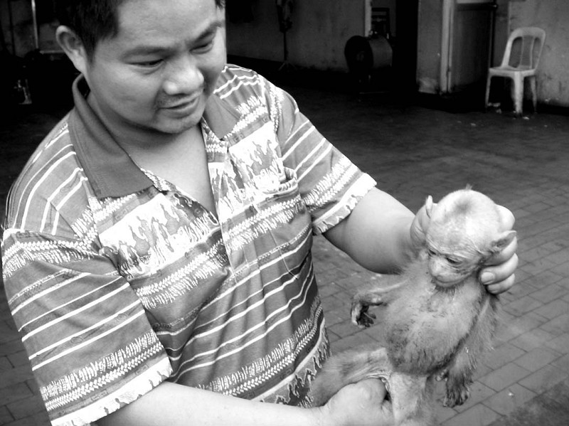 厦大白城:修车师傅伸手拽下顽皮小猕猴