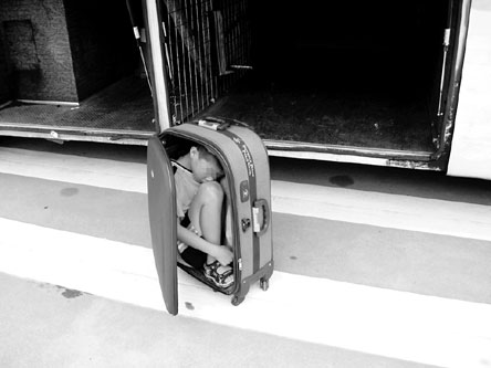 14岁少年藏入行李箱长乐机场大巴行李舱行窃