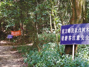 国内新闻 正文  记者 练情情 通讯员 刘微伟   "白云山砍树?不行!