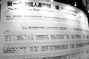 黄种人简谱_黄种人笛子简谱(4)
