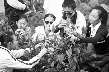 信息无障碍是盲人最紧迫的需要