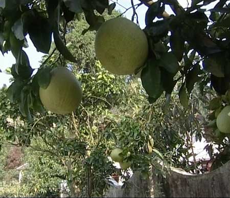 2007红色旅游圣地西柏坡小康纪事