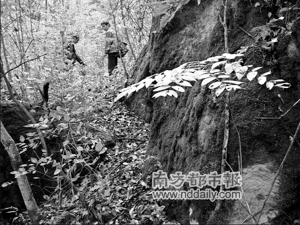 镇坪多少人口_镇坪公交(3)